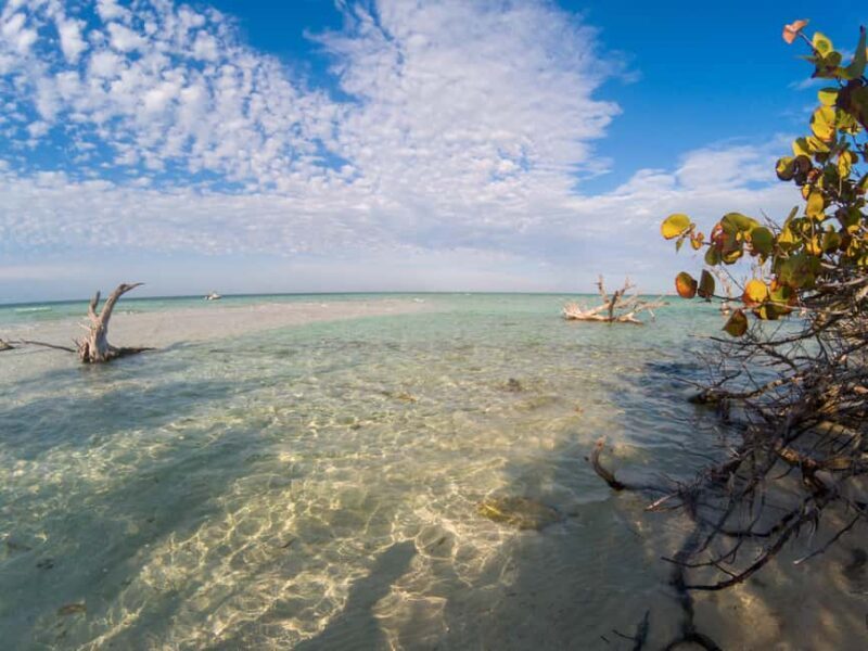 Key West: Private Boat Charter with Captain - Good To Know