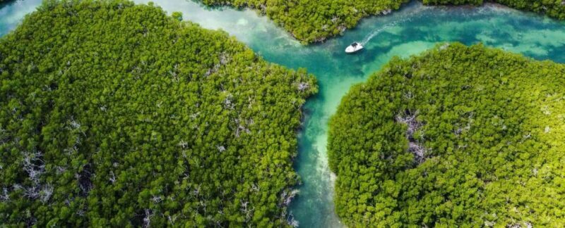 Key West: Private Boat Charter with Captain - An Authentic Water Adventure in Key West