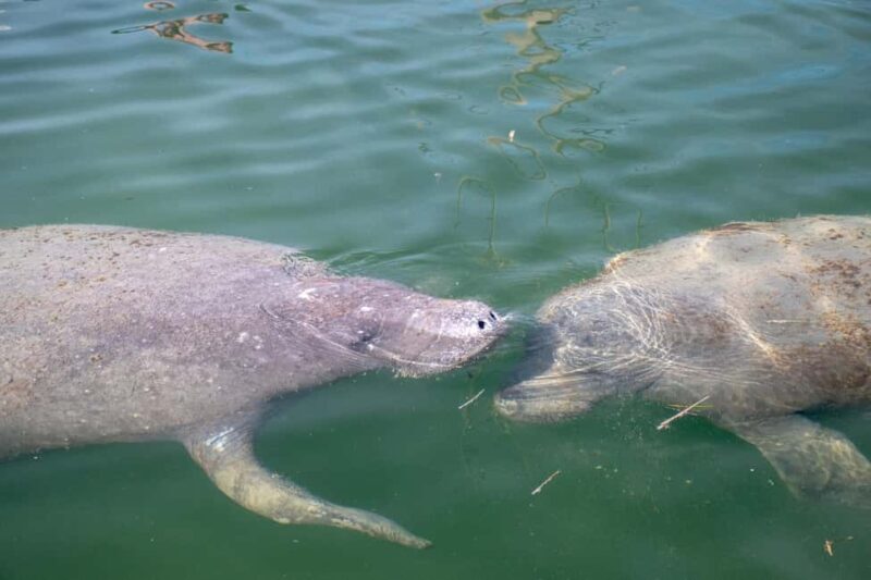 Key West: Private Boat Charter with Captain - Sunset Relaxation and the Overall Experience