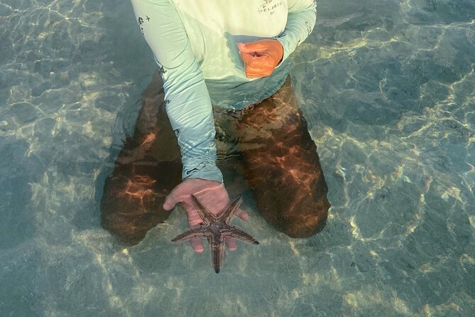 Key West Sand Bar, Sunset and Eco Trip - Common Questions
