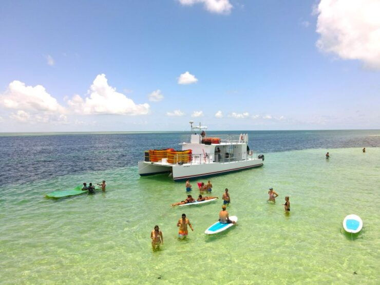 Key West: Sandbar Excursion & Kayak Tour With Lunch & Drinks - Experience Highlights