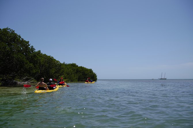 Key West Schooner Backcountry Eco-Tour: Sail, Snorkel & Kayak - Positive Experiences