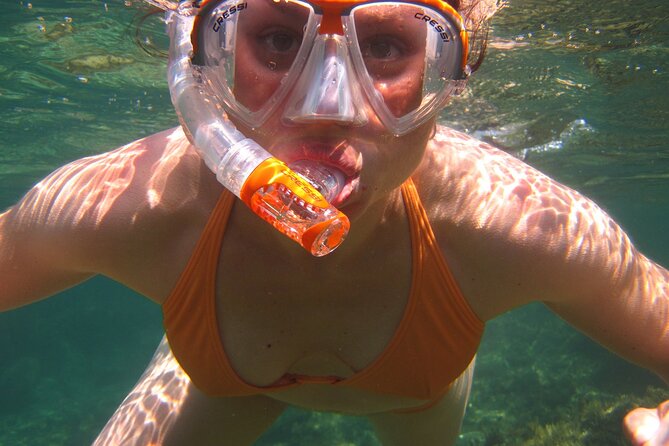 Key West Snorkeling Adventure From Miami - Pricing and Booking Process