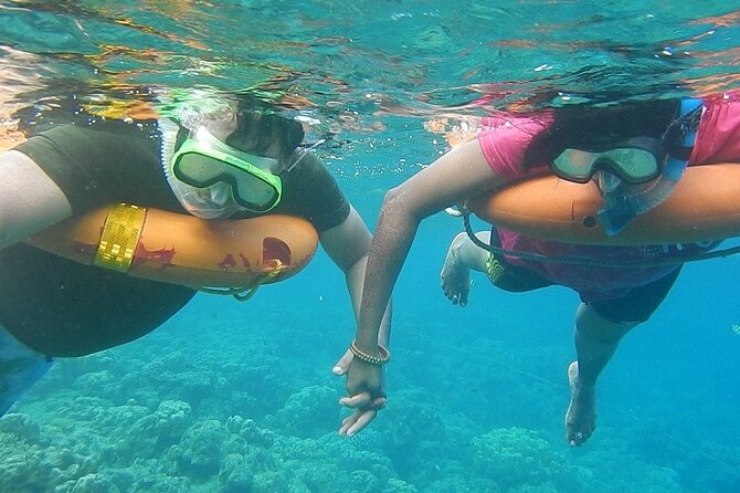 Key West Snorkeling Adventure From Miami - Tour Overview