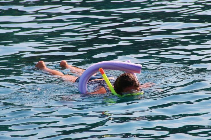 Key West: Snorkeling, Sunset Dinner Cruise & Open Bar - Experience Highlights
