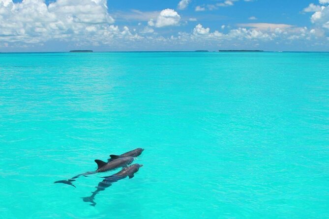 Key West Tour via Overseas Highway With Optional Boat Tour  - Miami - Social Distancing and COVID-19 Measures