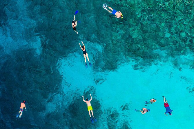 Key West Tour via Overseas Highway With Optional Boat Tour  - Miami - Overall Experience and Recommendations