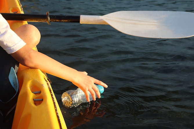 Key West Waterway Cleanup and Environmental Education Tour - Overview of the Tour