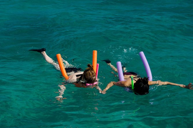 Key West Wild Dolphin Sail and Shallow-Water Snorkel - Additional Information