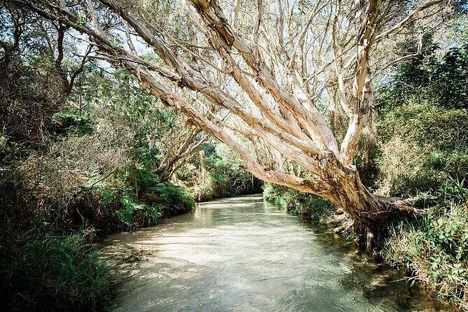 K'gari (Fraser Island) 4-Day Experience Tour From Hervey - What Does the Tour Offer in Terms of Value?