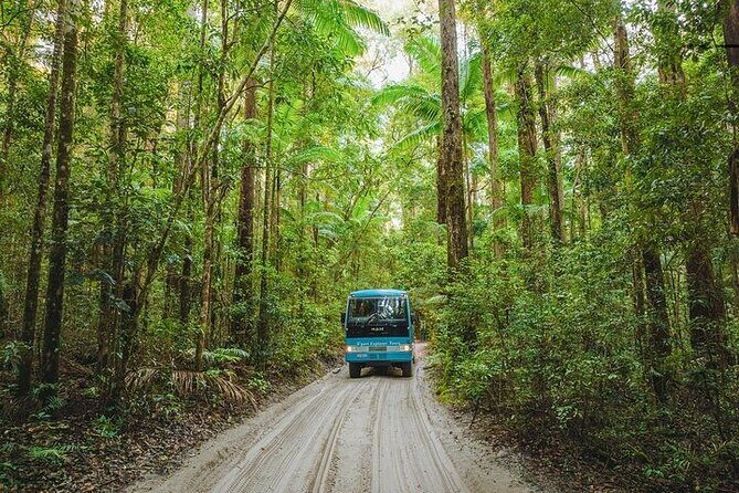 K'gari (Fraser Island) 4-Day Experience Tour From Hervey - Who Is This Tour Best For?