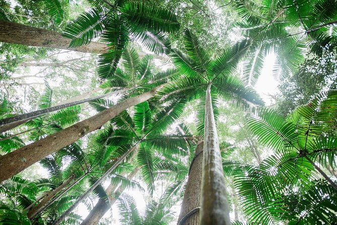 Kgari (Fraser Island) Explorer 2-Day Tour - What To Expect
