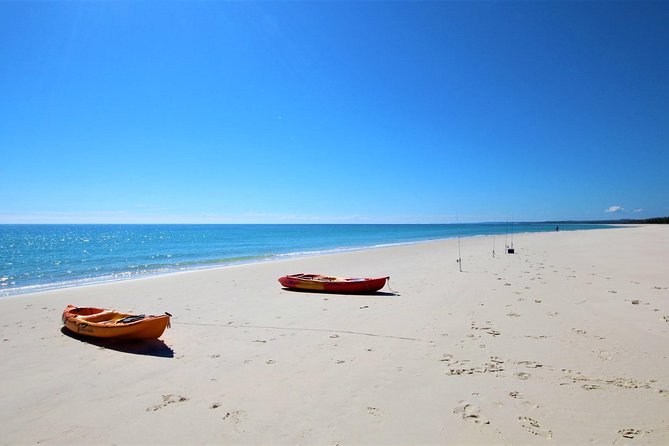 Kgari (Fraser Island) West Coast Half Day Cruise From Hervey Bay - BBQ Lunch