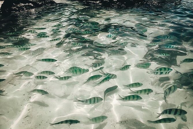 Khai Island From Phuket - Island Activities