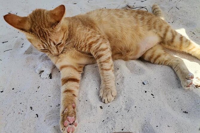 Khai Island From Phuket - Whats Included