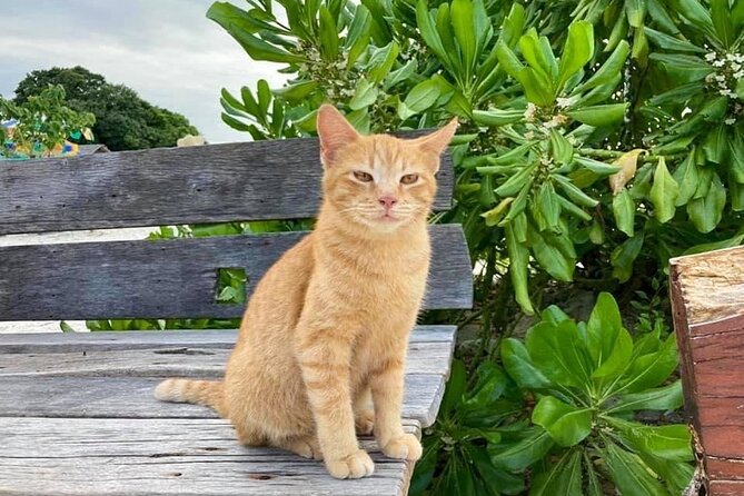 Khai Island From Phuket - Important Information