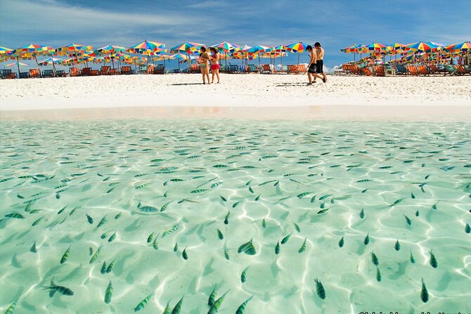 Khai Island Half Day Tour in 3 Islands (Khai Nai,Khai Nok,Khai Nui) From Phuket - Meeting and Pickup Details