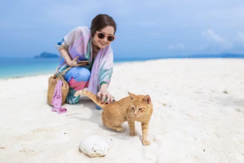 Khai Nai, Khai Nui, Khai Nok Island: Cat lover Tour by Speedboat - Three small islands, three different stops
