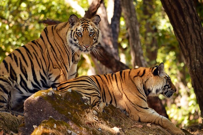 Khajuraho Erotica & Panna Exotica Wildlife - Good To Know