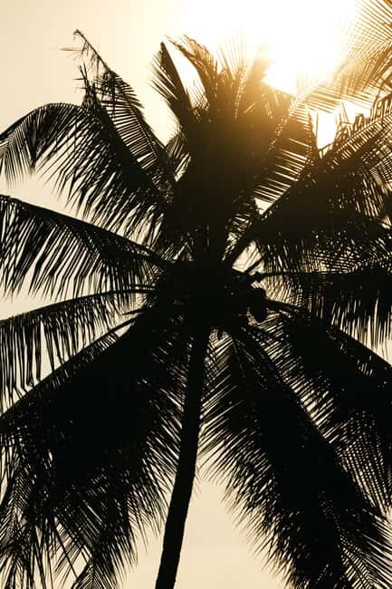 Khao Lak: 1.5-Hour Small Group Surfing Experience - The Value Proposition