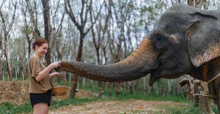 Khao Lak: 1-Hour Elephant Sanctuary Eco-Journey With Shuttle - Booking Details
