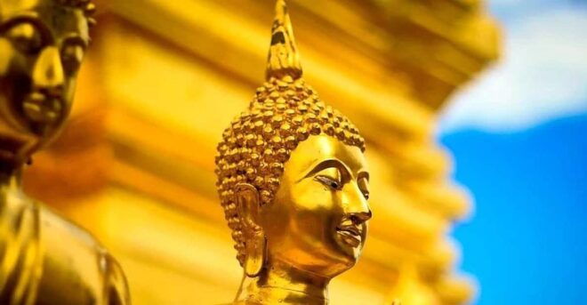 Khao Lak: a Spiritual Journey to Its Most Exquisite Temple - Tour Pricing and Options