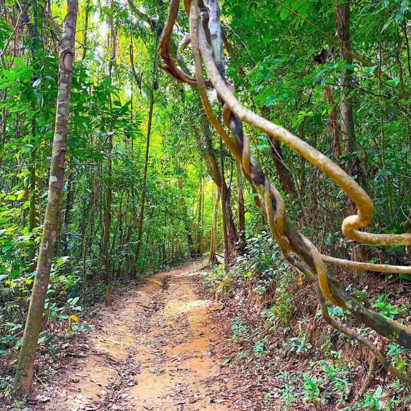 Khao lak: ATV Ride Adventure & Swim Small Sandy Beach - The Rainforest Hike and Hidden Sandy Beach