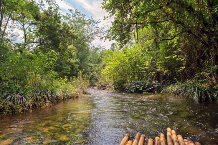 Khao Lak: Bamboo Rafting, Elephants, and Turtle Center Tour - Booking Details