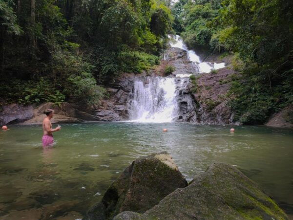 Khao Lak: Bamboo Rafting, Elephants, and Turtle Center Tour - The Sum Up