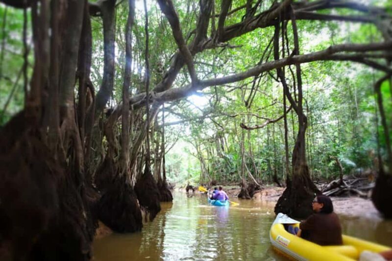 Khao Lak: Canoe Little Amazon & Trekking National Park - Good To Know