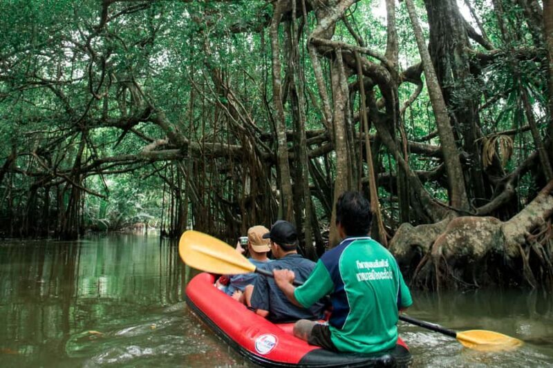 Khao Lak: Canoe Little Amazon & Trekking National Park - Introduction: Why This Tour is a Hidden Gem in Khao Lak