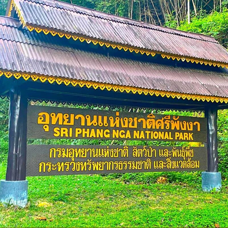 Khao Lak: Canoe Little Amazon & Trekking National Park - Why This Tour Fits Certain Travelers Best