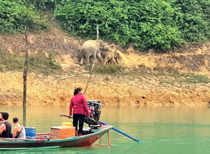 Khao Lak: Cheow Lan Lake, Diamond Cave, Hiking, All Included - Exploring the Diamond Cave and Jungle Hike  