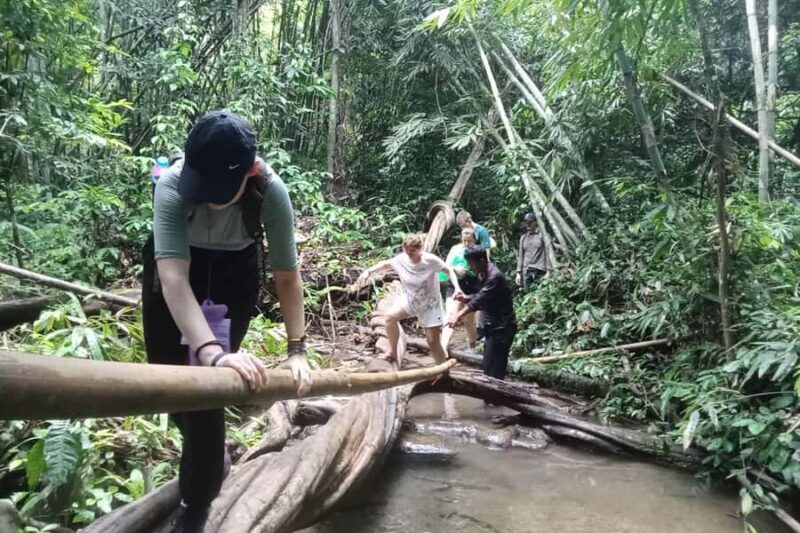 Khao Lak: Cheow Lan Lake, Diamond Cave, Hiking, All Included - Wrapping Up and Return  