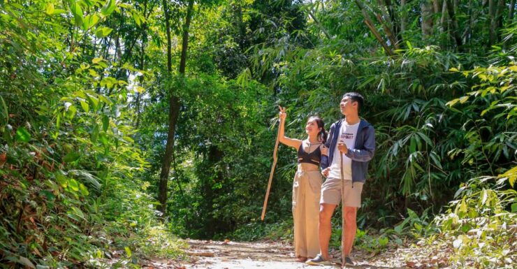 Khao Lak: Cheow Lan Lake Overnight Trip With Elephant Care - Activity Highlights for Elephant Care Experience
