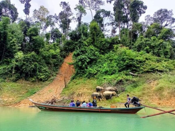 Khao Lak: Cheow Lan Lake Romantic Sunset Cruise With Drinks - The Sum Up