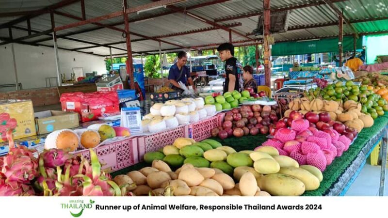 Khao Lak Cooking Class & ATV Adventure Tour Experience - Final Thoughts