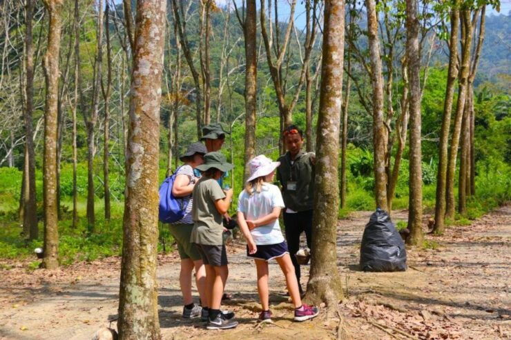 Khao Lak: Early Bird Khao Sok National Park Bamboo Rafting - Bamboo Rafting Adventure Overview