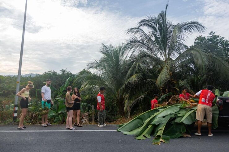 Khao Lak Eco Safari: Elephant Sanctuary Small Group Tour - Activity Details