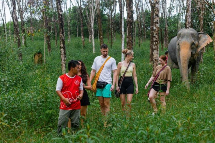 Khao Lak Eco Safari: Elephant Sanctuary Small Group Tour - Experience Highlights