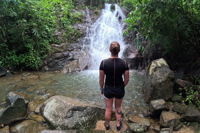 Khao Lak Eco-Safari: Elephants, Tsunami Museum, and Turtles - Final Thoughts