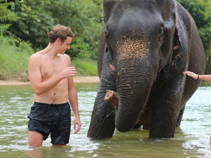 Khao Lak: Elephant Bathing and Turtle Center Visit - What Is This Tour All About?