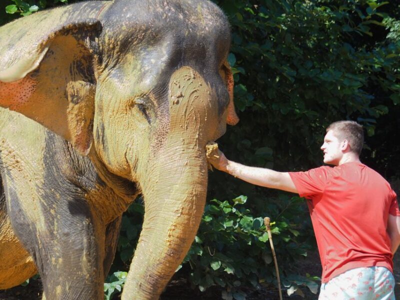 Khao Lak: Elephant Bathing and Turtle Center Visit - Authentic Animal Welfare Commitment