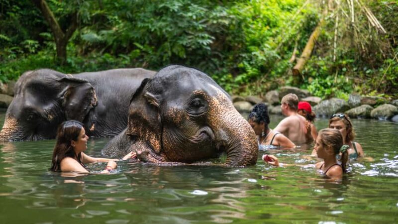 Khao Lak: Elephant Camp, Bamboo Rafting, and Waterfall Tour - Good To Know