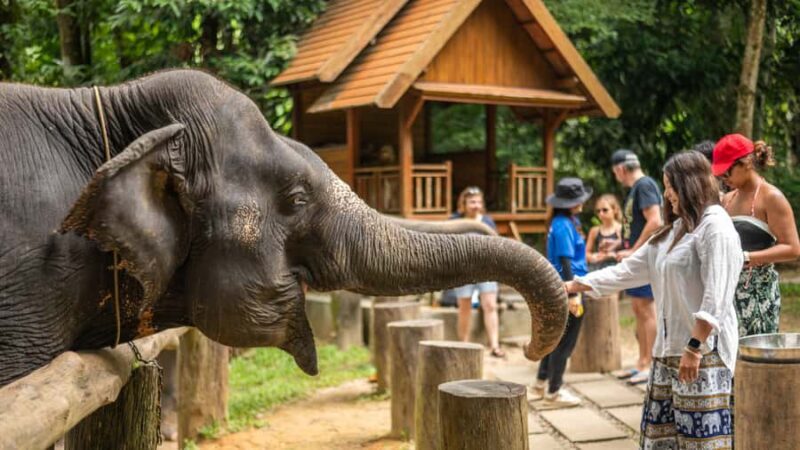 Khao Lak: Elephant Camp, Bamboo Rafting, and Waterfall Tour - A Thorough Look at the Experience