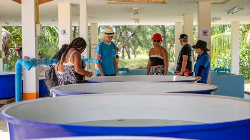 Khao Lak: Elephant Camp, Bamboo Rafting, and Waterfall Tour - Frequently Asked Questions