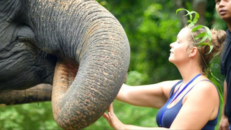 Khao Lak: Elephant Care Experience - Good To Know