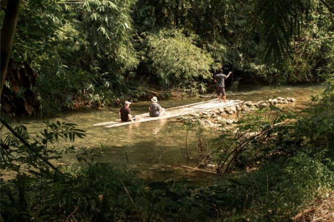 Khao Lak: Elephant Safari With Lunch - Reviews