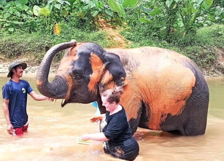 Khao Lak: Elephant Sanctuary Guided Tour - Activity Details
