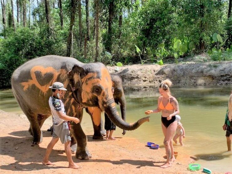 Khao Lak: Elephant Sanctuary Guided Tour - Experience Highlights